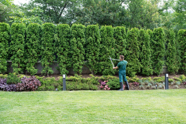Best Storm Damage Tree Cleanup  in Chester, NY